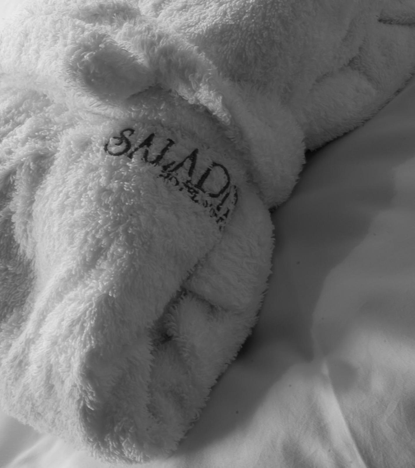 Bio-Hotel Saladina Gaschurn Zewnętrze zdjęcie